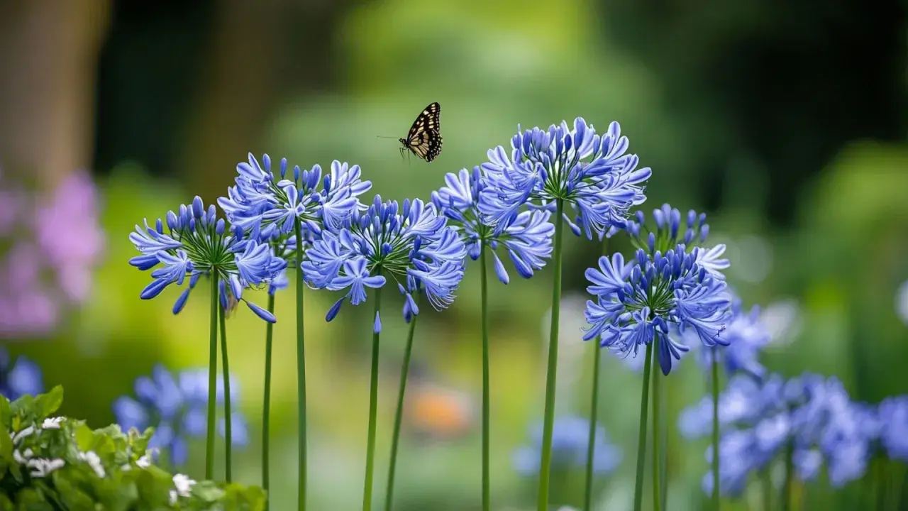 Un papillon voltige au-dessus d'une grappe de fleurs d'été bleues, capturant la beauté éphémère d'une journée ensoleillée.