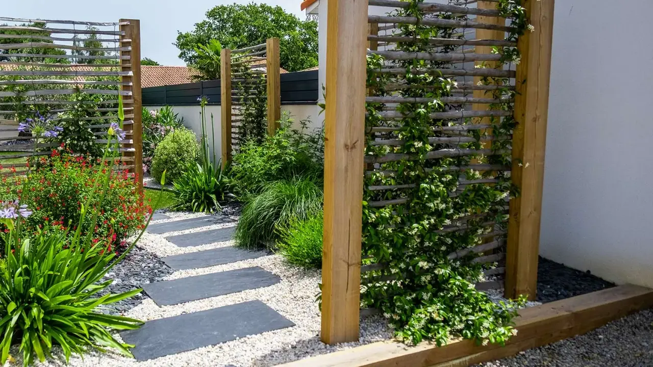 Jardin moderne avec un chemin de dalles grises. Une plante brise-vue qui pousse vite en bac grimpe sur un treillage en bois, créant un écran végétal.