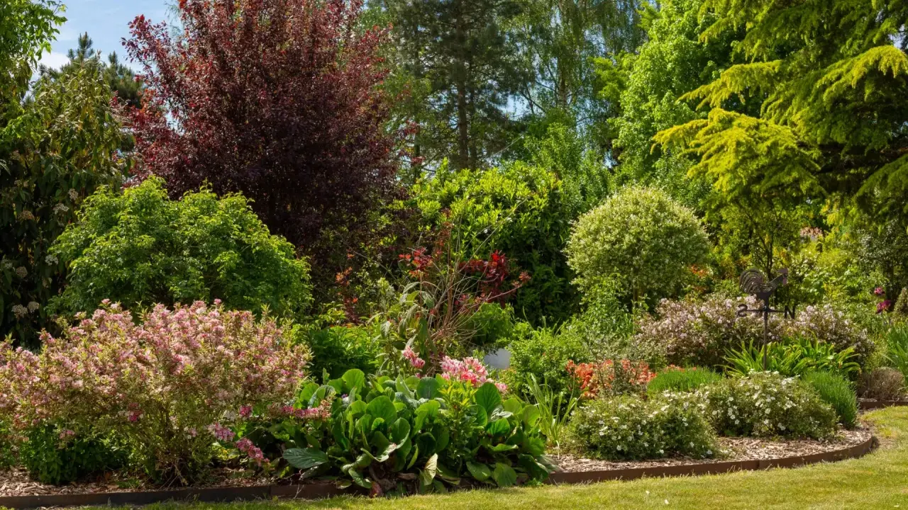 Un magnifique jardin printanier avec un arbre en fleur en ce moment, des arbustes aux teintes rouges et vertes, et des parterres de fleurs roses et blanches.