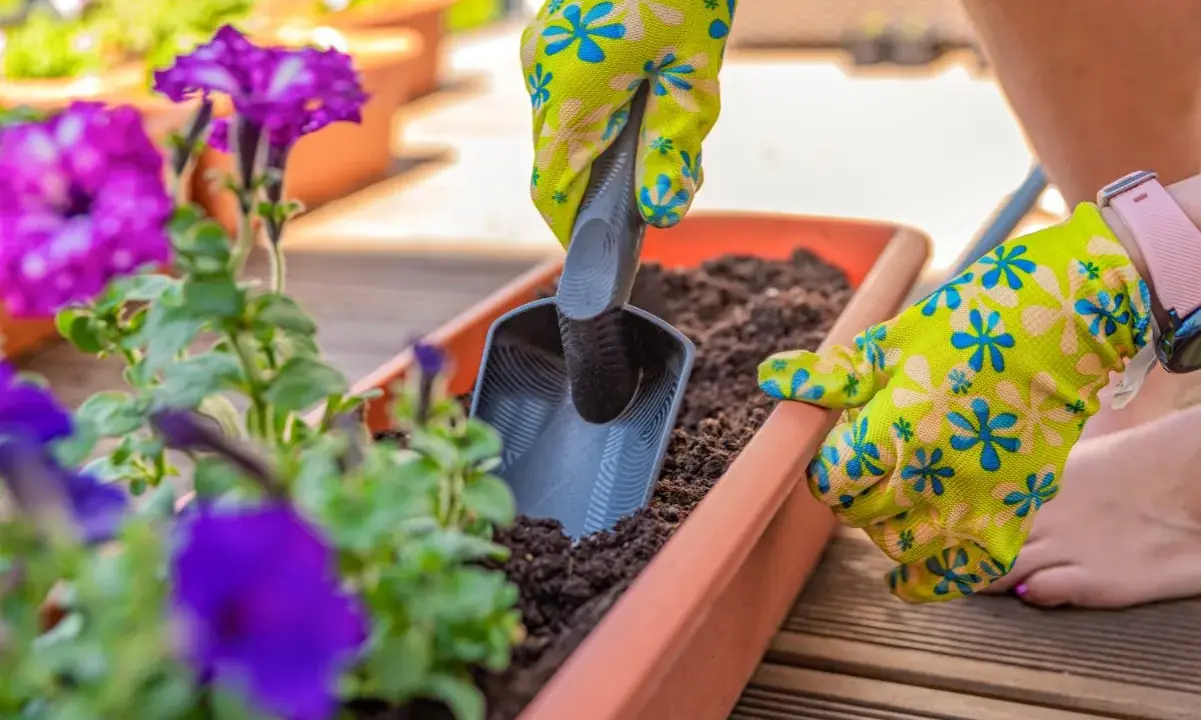 Une main gantée utilise une petite pelle pour ajouter de la terre dans une jardinière extérieure, une belle idée composition pour vos plantes.