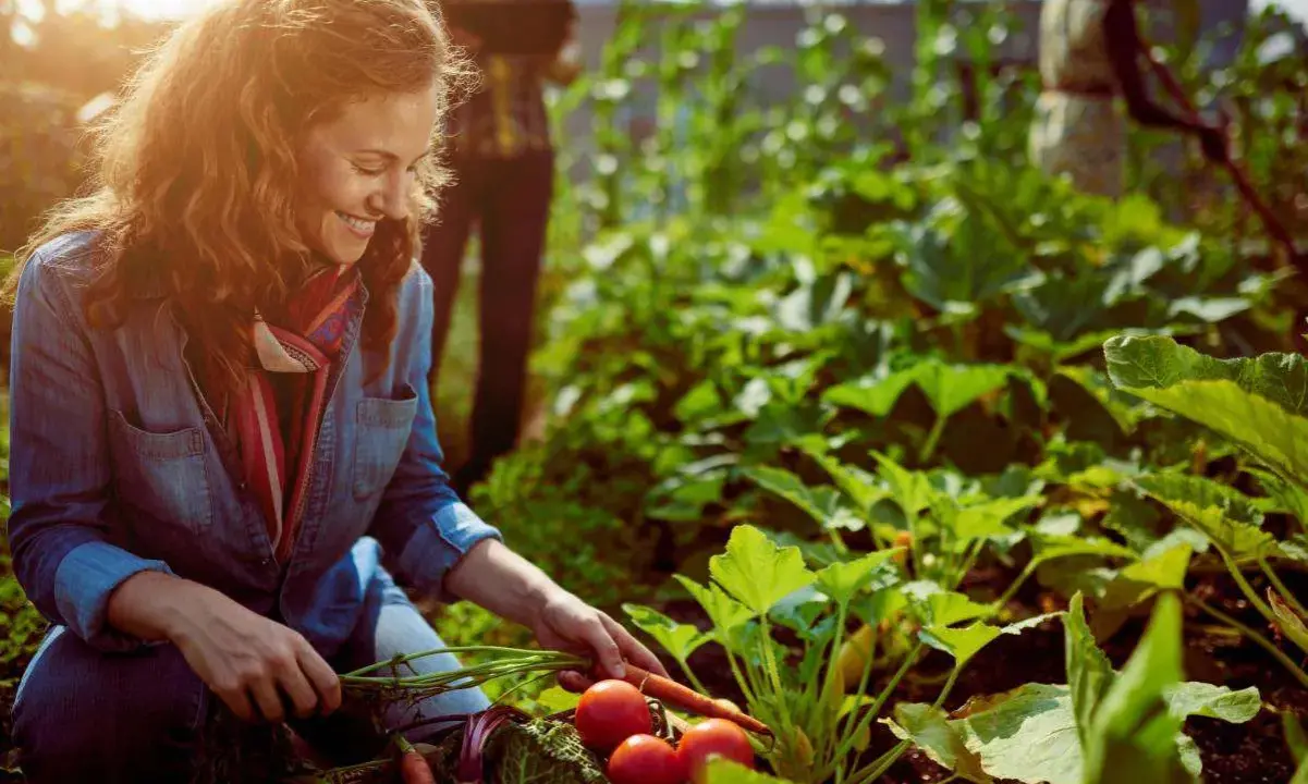Une femme souriante récolte des carottes et des tomates dans un potager sans entretien. L'abondance des légumes suggère une récolte facile et généreuse.