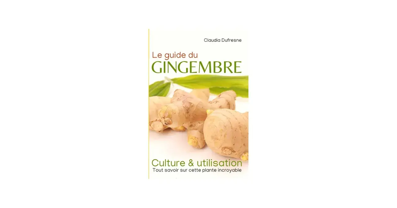 Le guide du gingembre : comment faire pousser du gingembre, sa culture et son utilisation. Des rhizomes frais et des feuilles vertes sur la couverture.