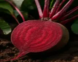 Betterave rouge coupée en deux, montrant sa chair vibrante, prête à être plantée.
