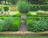 Un jardin aromatique plan avec lavande, buis taillés et herbes diverses. Une urne en pierre trône au centre.