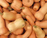 Gros plan sur des potimarrons et des courges butternut. Idéal pour savoir quand planter potimarron et butternut.