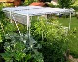 Un abri simple pour protéger vos tomates. Ce toit protège les plants des intempéries, idéal pour un jardin potager.