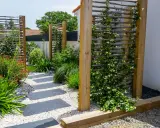 Jardin moderne avec un chemin de dalles grises. Une plante brise-vue qui pousse vite en bac grimpe sur un treillage en bois, créant un écran végétal.