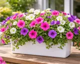 Un pot blanc débordant de pétunias surfinia aux couleurs vives : rose, violet et blanc. Ces fleurs illuminent une terrasse en bois.