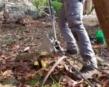 Un homme utilise un treuil pour tenter de comment enlever une souche d'arbre manuellement. Des feuilles mortes jonchent le sol.