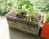 Jardinage innovant : culture sur botte de paille dans une structure métallique. Des plants de tomates poussent dans ce bac original.