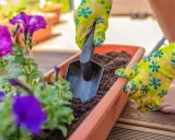 Une main gantée utilise une petite pelle pour ajouter de la terre dans une jardinière extérieure, une belle idée composition pour vos plantes.