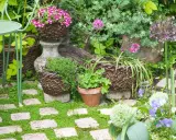 Jardin fleuri avec des paniers en osier, des pierres et des fleurs violettes. Un chemin de dalles envahi par la verdure, idéal pour savoir comment éviter que la mousse revienne.