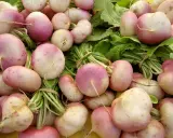 Gros plan sur une récolte de navets roses et blancs, prêts à être semés ou cuisinés.
