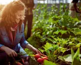 Une femme souriante récolte des carottes et des tomates dans un potager sans entretien. L'abondance des légumes suggère une récolte facile et généreuse.
