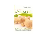 Le guide du gingembre : comment faire pousser du gingembre, sa culture et son utilisation. Des rhizomes frais et des feuilles vertes sur la couverture.