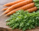 Un bouquet de fanes de carottes fraîches et vertes repose à côté de carottes orangées sur une planche en bois.