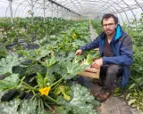 Un homme récolte des légumes dans une serre. Il montre comment organiser son potager avec des courgettes, des poireaux et des radis.