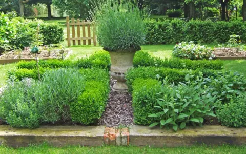Un jardin aromatique plan avec lavande, buis taillés et herbes diverses. Une urne en pierre trône au centre.