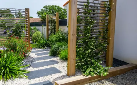 Jardin moderne avec un chemin de dalles grises. Une plante brise-vue qui pousse vite en bac grimpe sur un treillage en bois, créant un écran végétal.