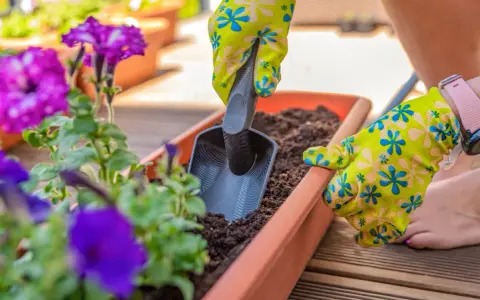 Une main gantée utilise une petite pelle pour ajouter de la terre dans une jardinière extérieure, une belle idée composition pour vos plantes.