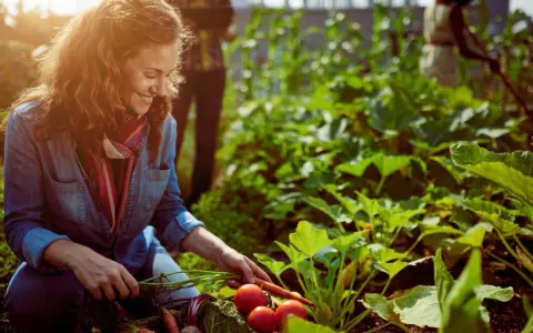 Une femme souriante récolte des carottes et des tomates dans un potager sans entretien. L'abondance des légumes suggère une récolte facile et généreuse.