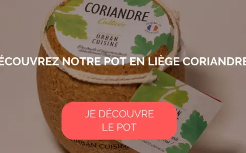 Pot en liège pour cultiver de la coriandre, idéal pour un potager urbain.