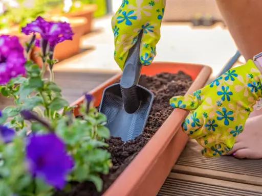 Une main gantée utilise une petite pelle pour ajouter de la terre dans une jardinière extérieure, une belle idée composition pour vos plantes.