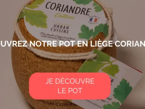 Pot en liège pour cultiver de la coriandre, idéal pour un potager urbain.