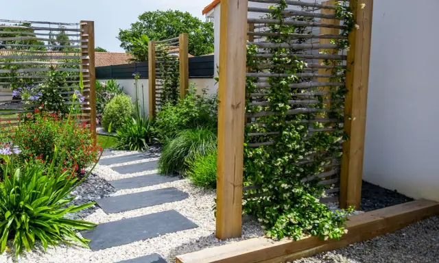 Jardin moderne avec un chemin de dalles grises. Une plante brise-vue qui pousse vite en bac grimpe sur un treillage en bois, créant un écran végétal.
