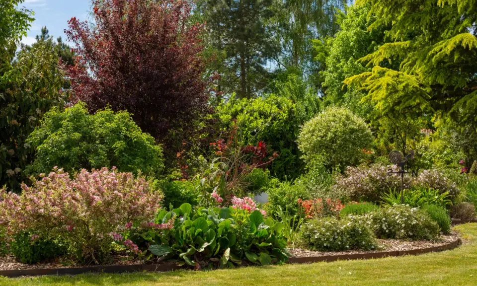 Un magnifique jardin printanier avec un arbre en fleur en ce moment, des arbustes aux teintes rouges et vertes, et des parterres de fleurs roses et blanches.