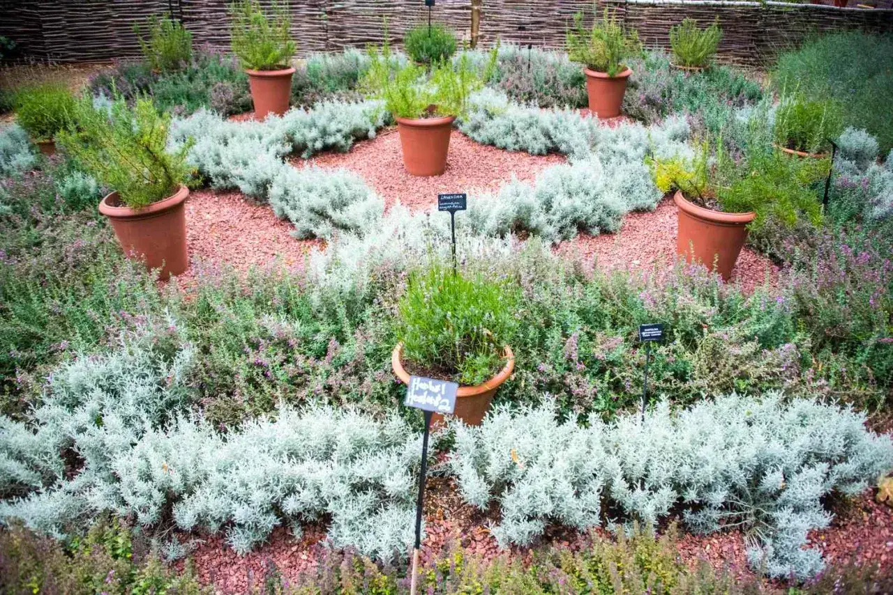 Vue aérienne d'un jardin aromatique plan, avec des plantes en pots et des parterres de gravier rouge.