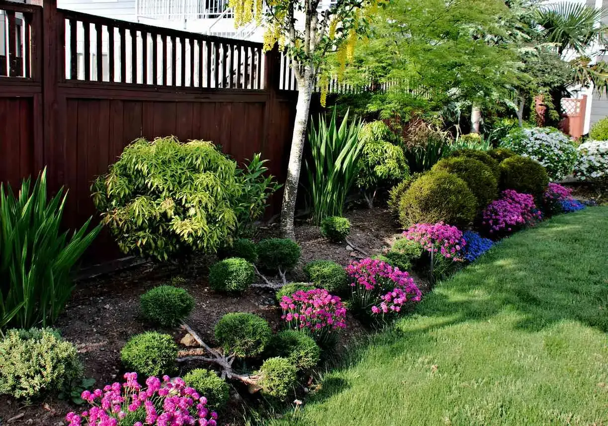 Un magnifique jardin avec une vari&eacute;t&eacute; de plante ext&eacute;rieur, des arbustes taill&eacute;s, des fleurs roses et bleues, et un arbre fleuri jaune.