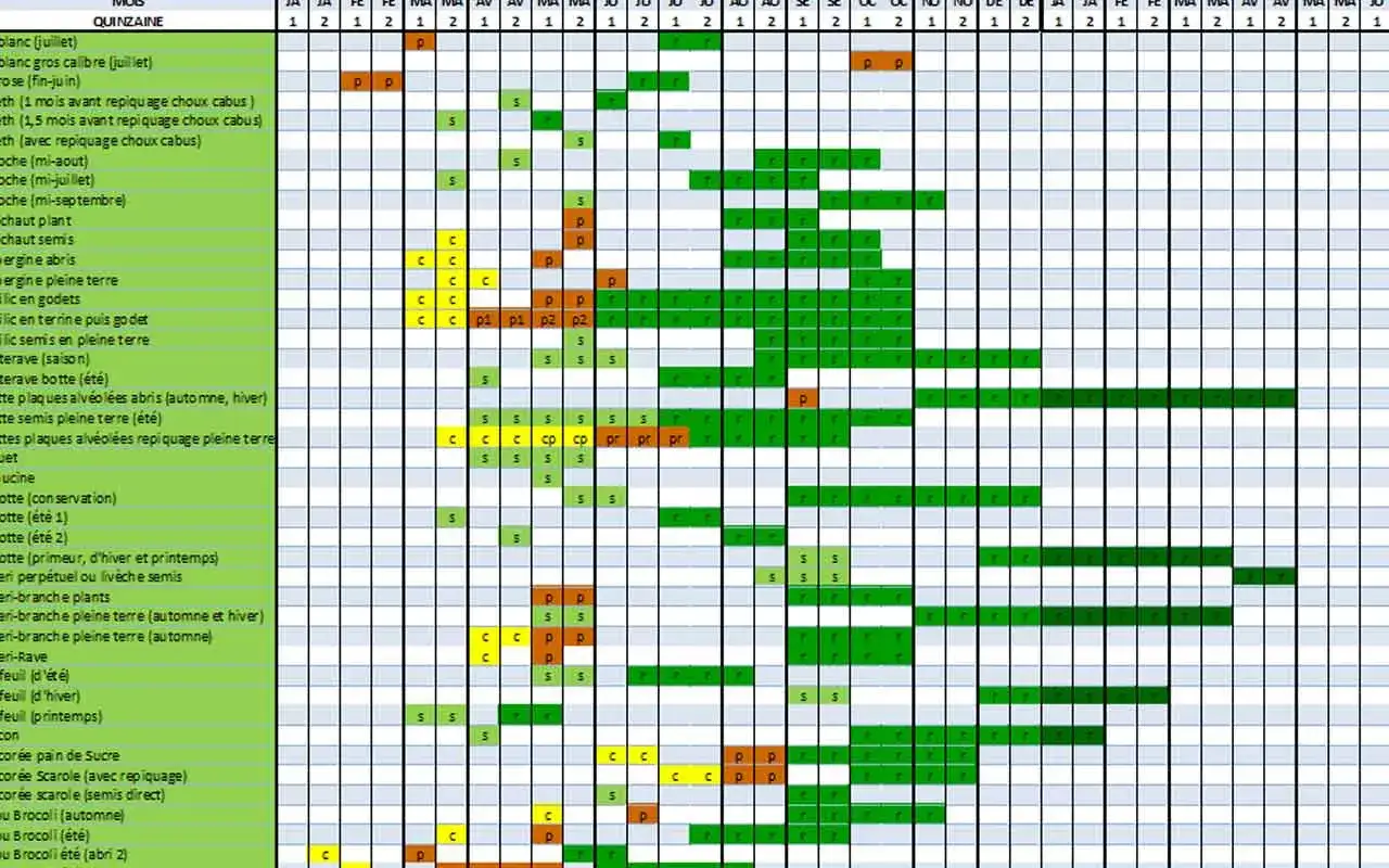 Tableau d'association des légumes : calendrier de semis et plantation pour une culture réussie.