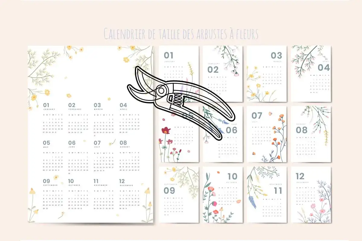 Calendrier floral pour savoir quand tailler les arbres. Ciseaux de jardinage au centre.