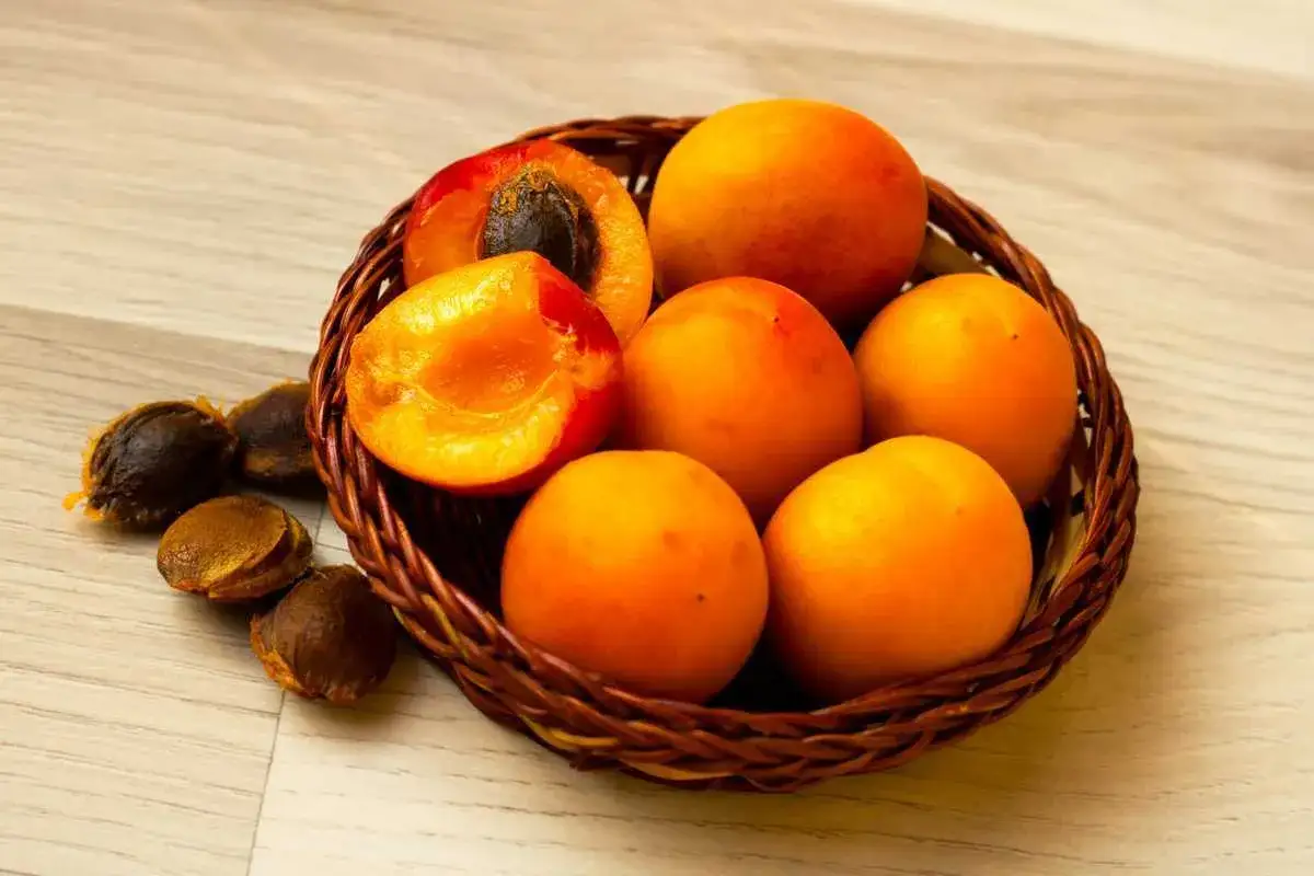 Un panier en osier contient des abricots mûrs, dont un coupé en deux révélant son noyau. Quelques noyaux d'abricot sont dispersés à côté.