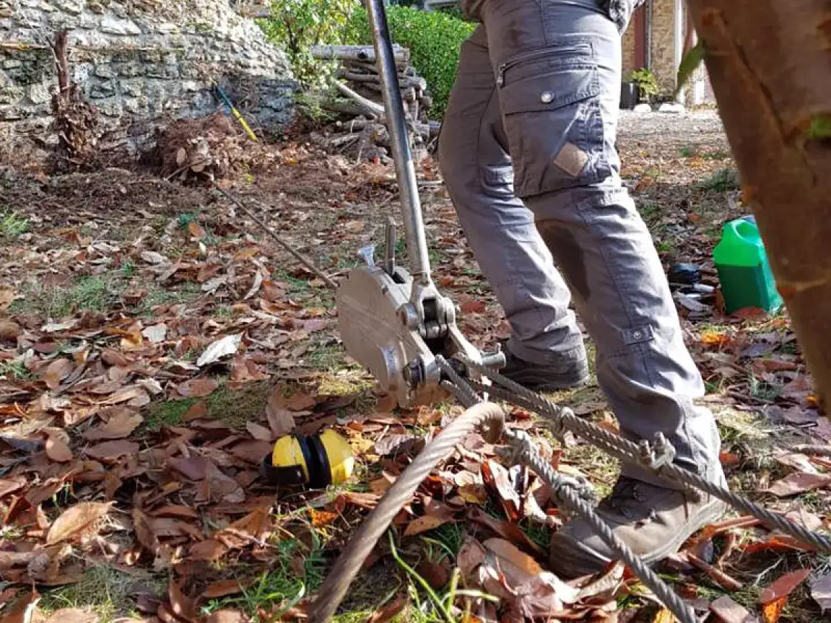 Un homme utilise un treuil pour tenter de comment enlever une souche d'arbre manuellement. Des feuilles mortes jonchent le sol.