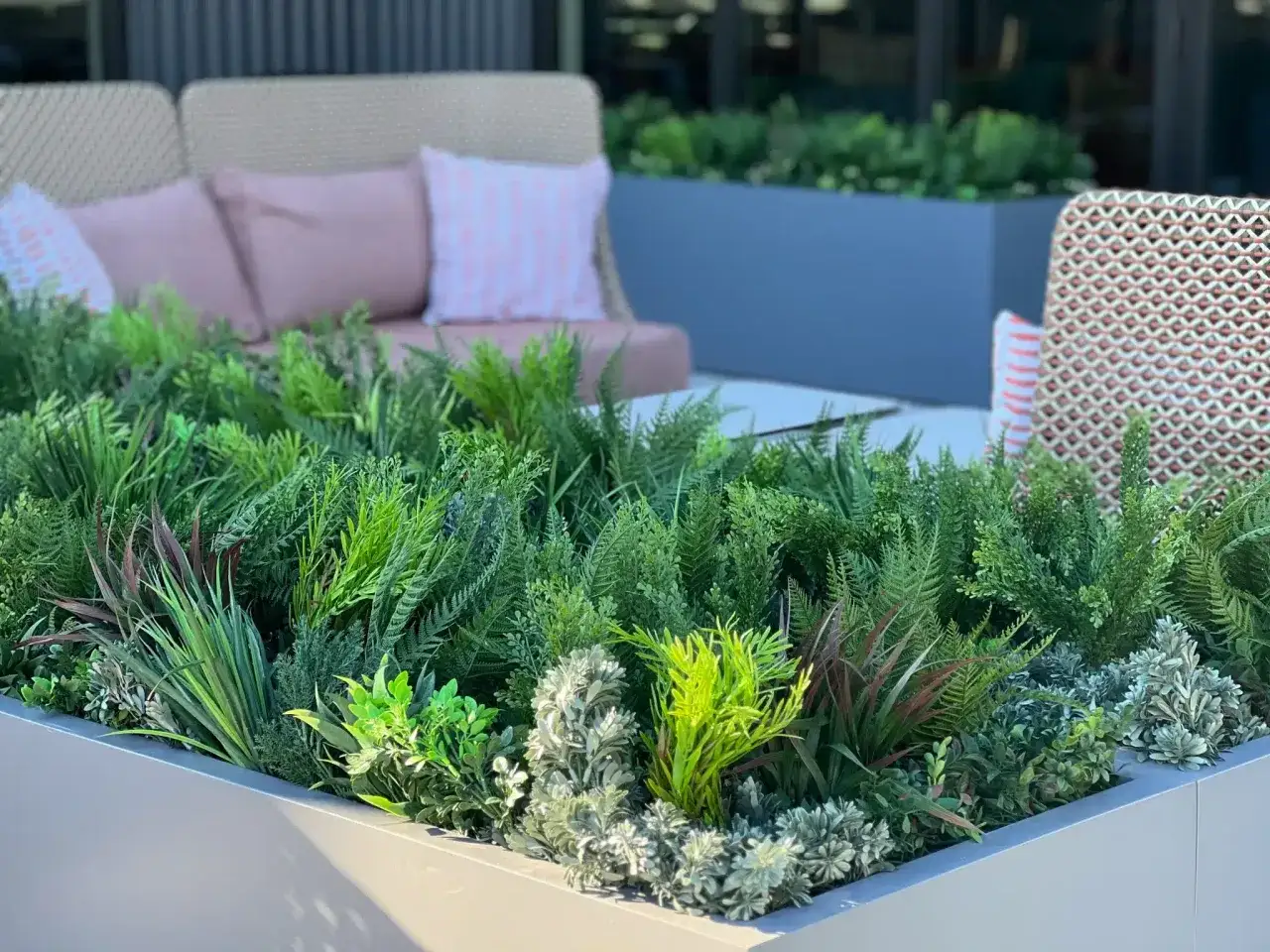 Un parterre de plantes luxuriantes, dont une plante qui ressemble au yucca, crée une oasis de verdure devant un canapé et des fauteuils d'extérieur.