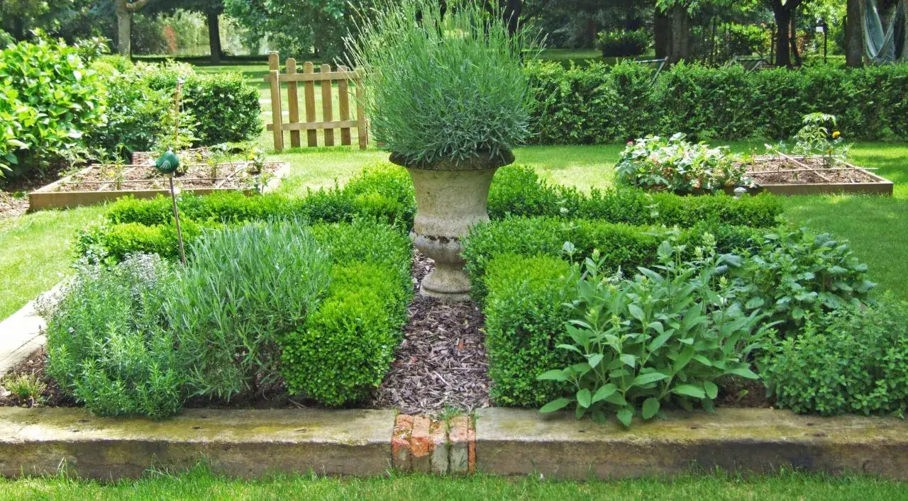 Un jardin luxuriant avec une plante aromatique en pot, des buis taillés et des parterres de légumes.